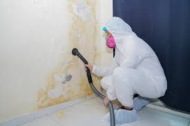 Environmental Consulting for Mold Prevention in St Joseph, IL